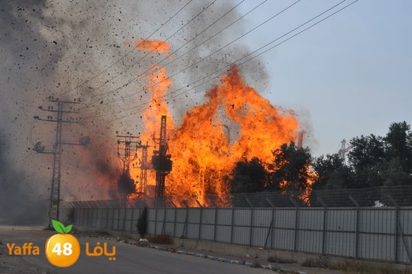 fireludkartoonmasna34 (5).JPG